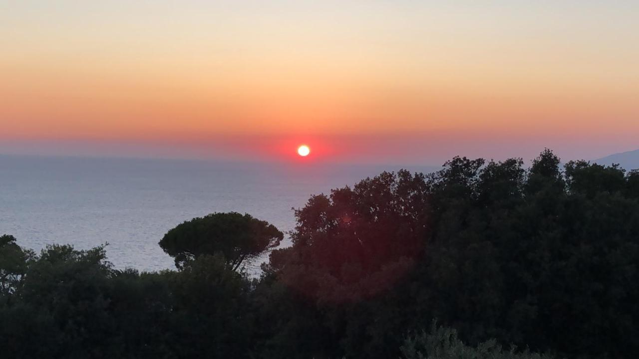La Draghina B&B Capri Anacapri  Exteriér fotografie